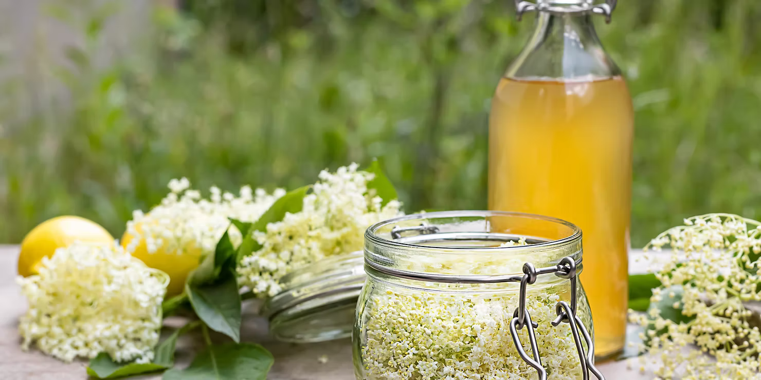 Bazový sirup – letná rodinná tradícia