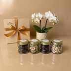 Golden Snack Collection - Figy & Datle