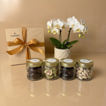 Golden Snack Collection - Figs & Dates