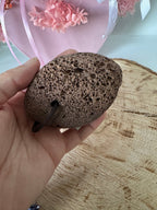Volcanic pumice